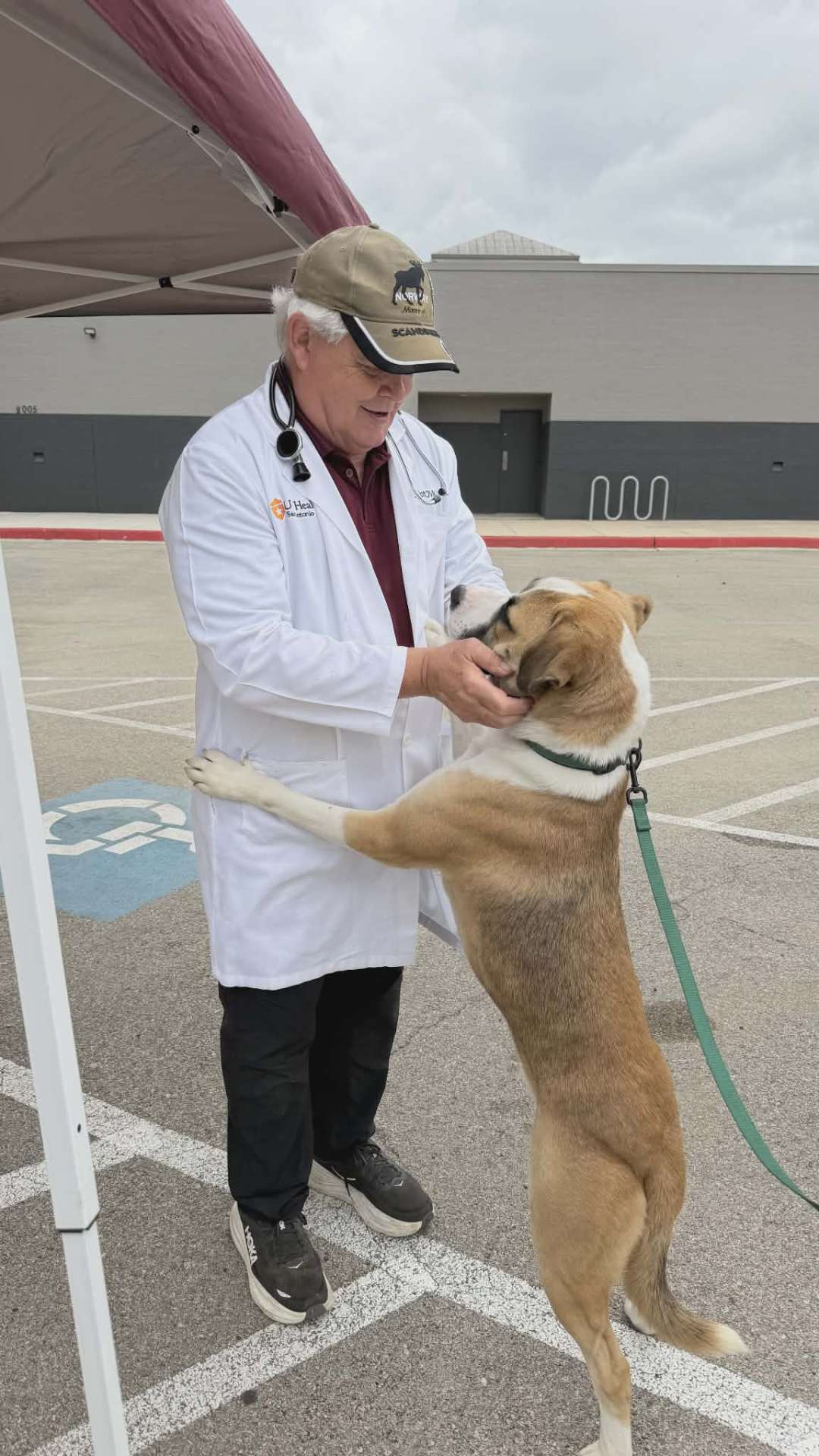 A vet caring for a happy dog at a mobile clinic